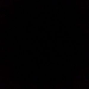 Meet your Posher, Mikey